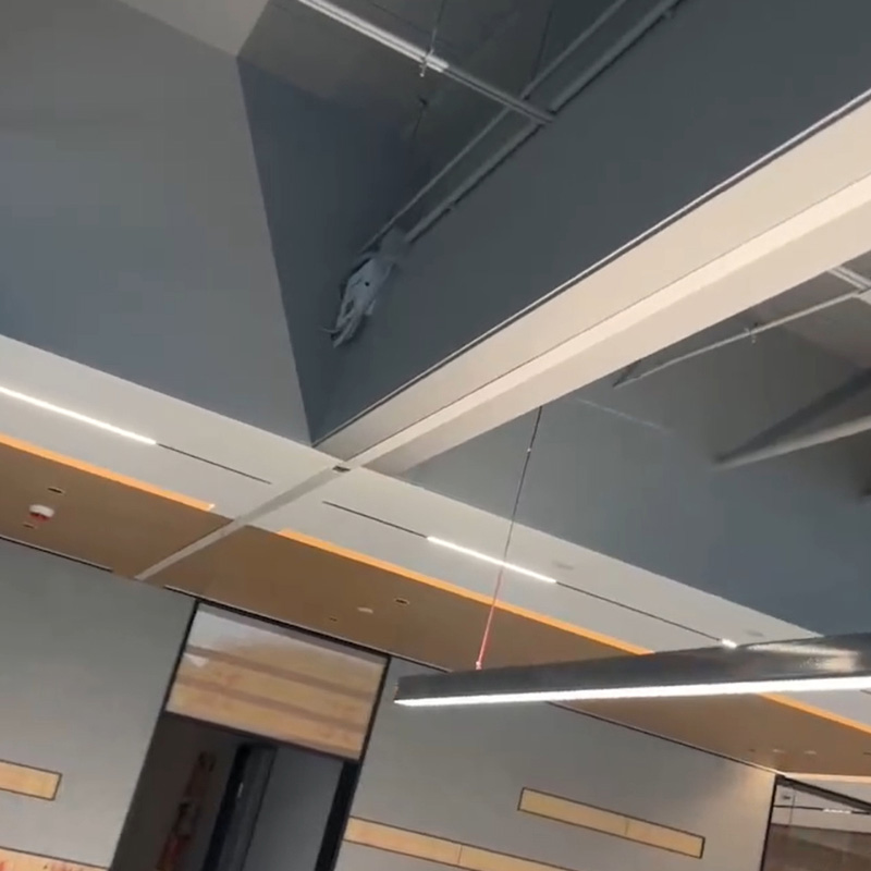 20250526上海御桥-电动